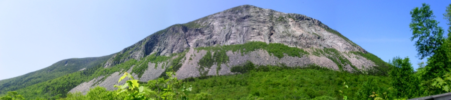 [PhoSeveral photos stitched to create a panoramic view of this sparsely vegetated white-grey cliff side.]